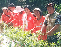 Scorpion Foundation Visits the First Harvest of Chilli Pepper Plantation in Batu Horing (May 2, 2024)